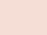 Light Pink Color Chip